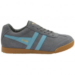 Gola Classics Harrier Suede Sneakers Ash Ocean Portugal | BPMX35968